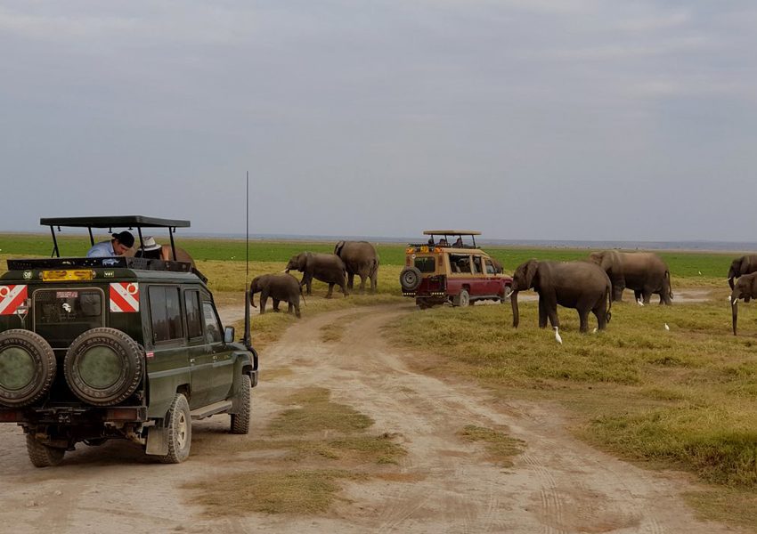 2 Days 1 Night Amboseli Game Park - Elwama Tours