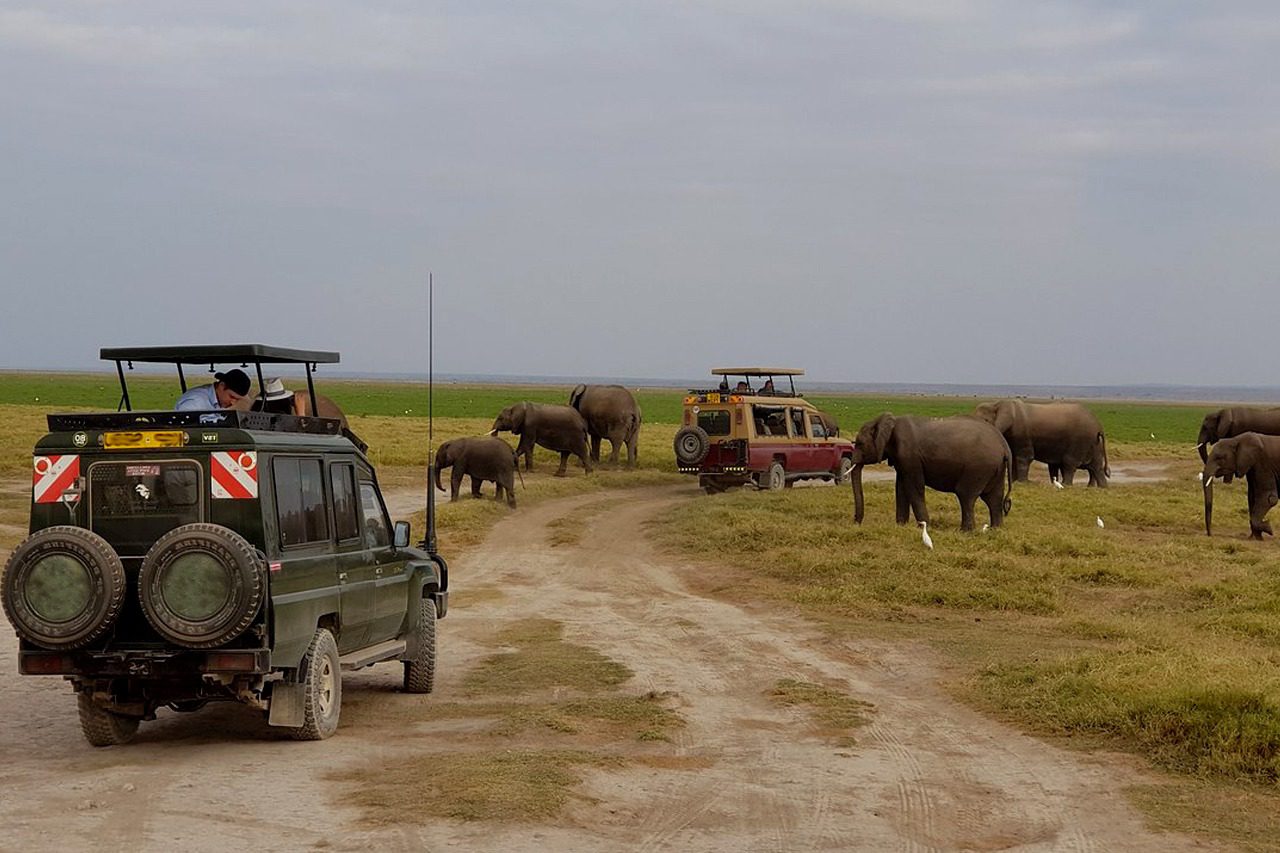 7 days kenya wildlife safari tour game drives in amboseli national park