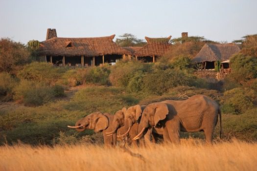 3 Day Masai Mara Tour Package