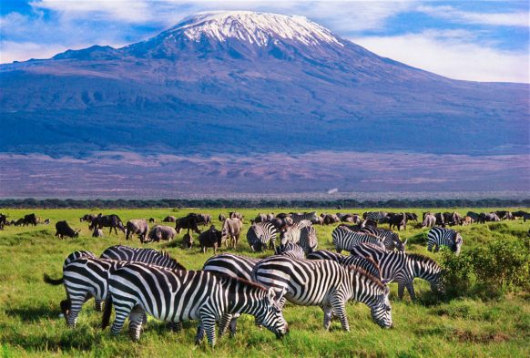 Amboseli