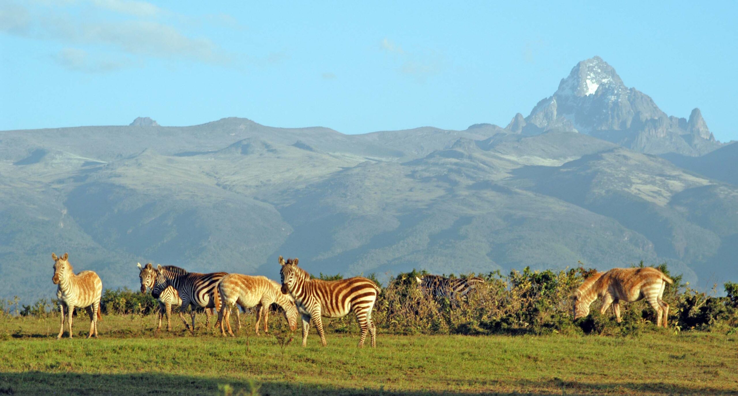 Mount Kenya