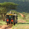 Kenya wildlife safari