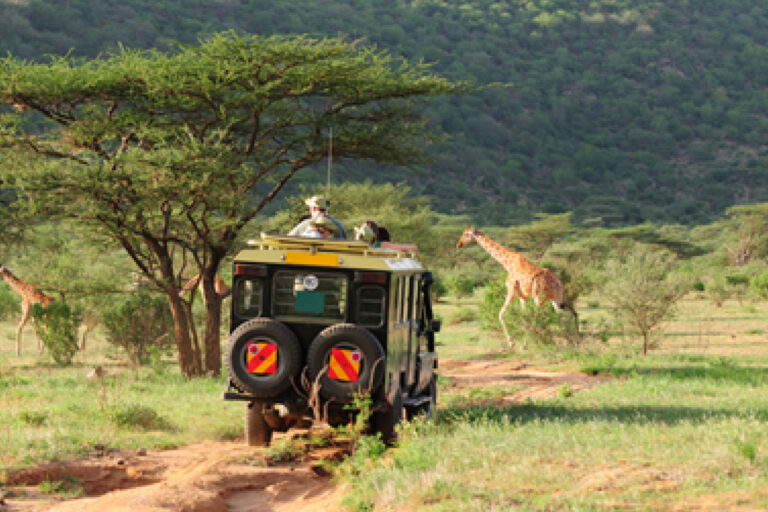 Kenya wildlife safari