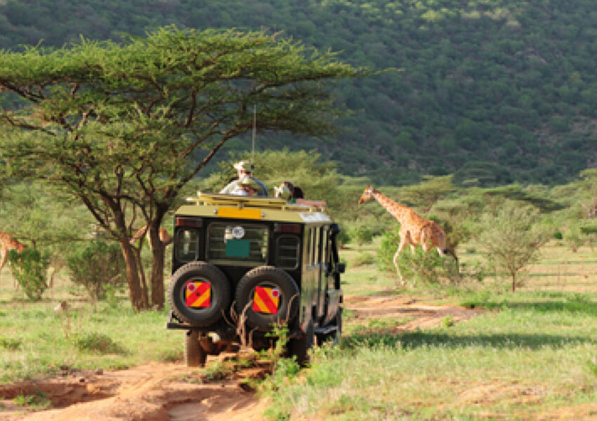 Kenya wildlife safari