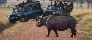 The Ultimate Tanzania Travel Guide Your Gateway to Adventure