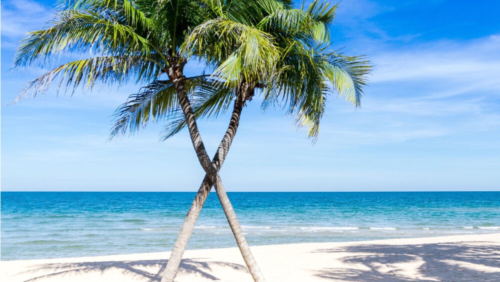 Honeymoon Destinations Kenya