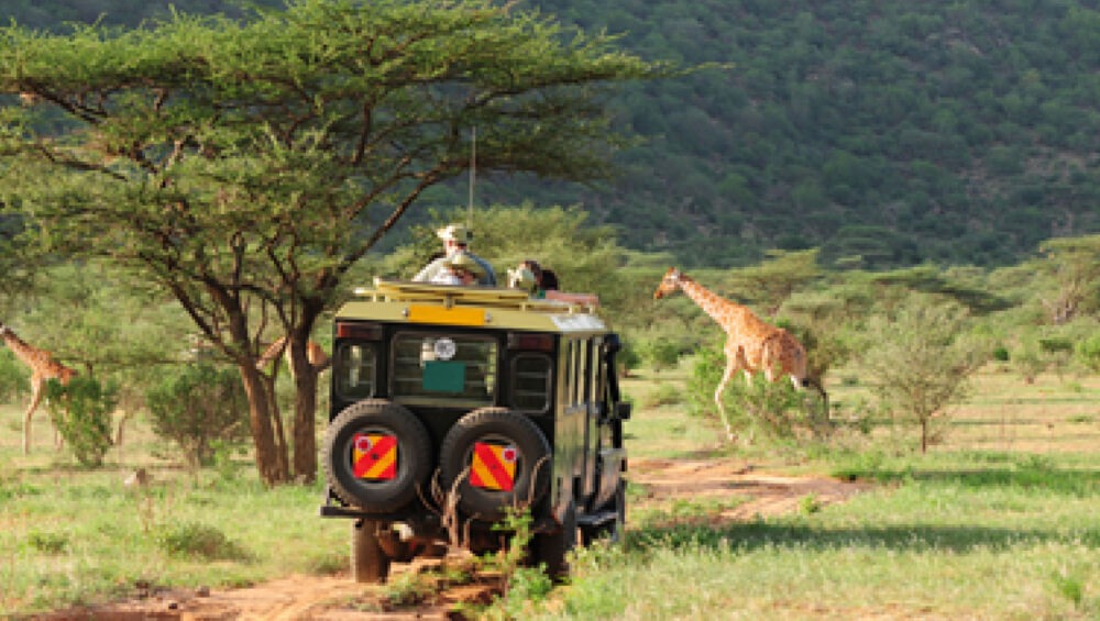 Kenya Wildlife Safari