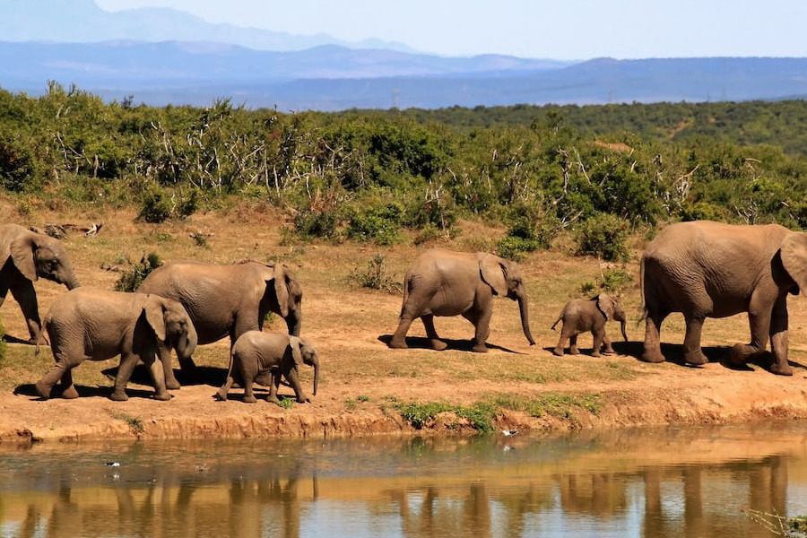 Maasai Mara National Reserve