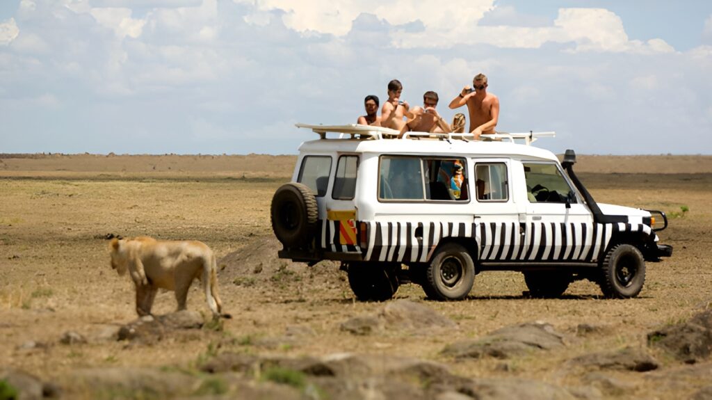 Kenya Safari Guide
