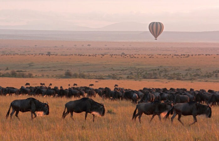 Masai Mara Safari Packages